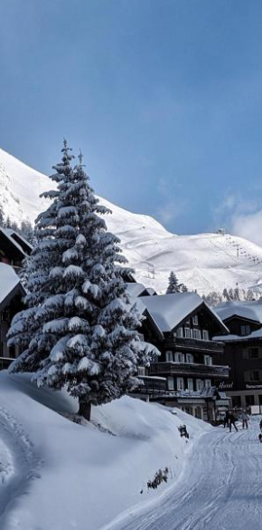 Imhof Alpine B&B Apartments
